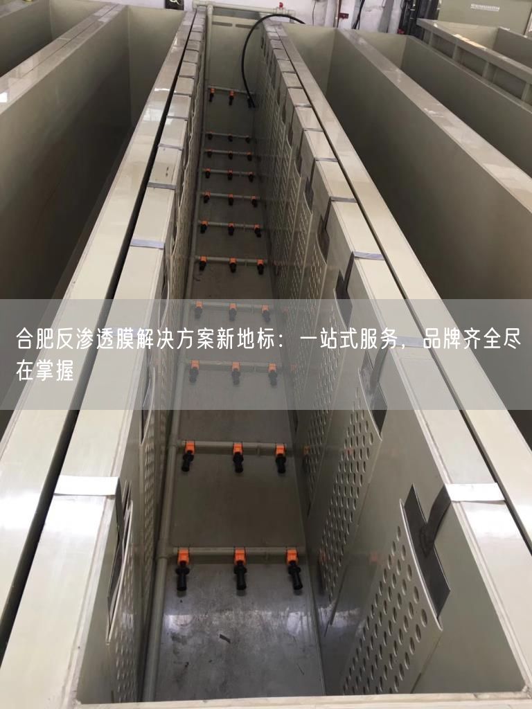 合肥反渗透膜解决方案新地标：一站式服务，品牌齐全尽在掌握(图1)