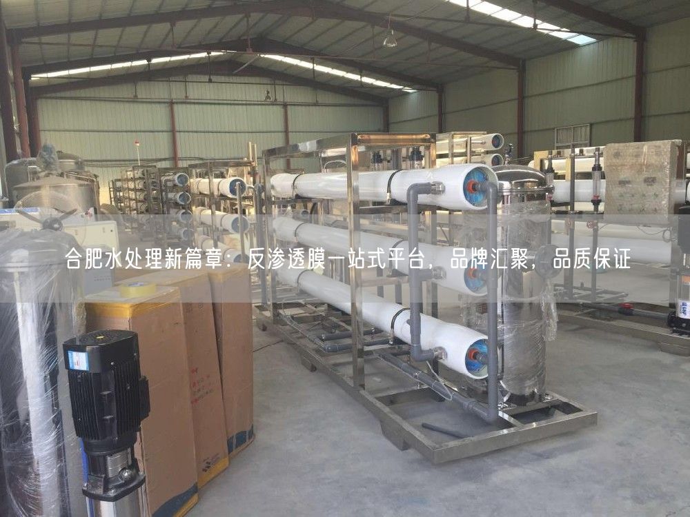 合肥水处理新篇章：反渗透膜一站式平台，品牌汇聚，品质保证(图1)
